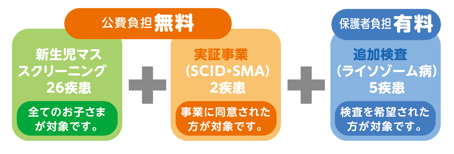 追加検査