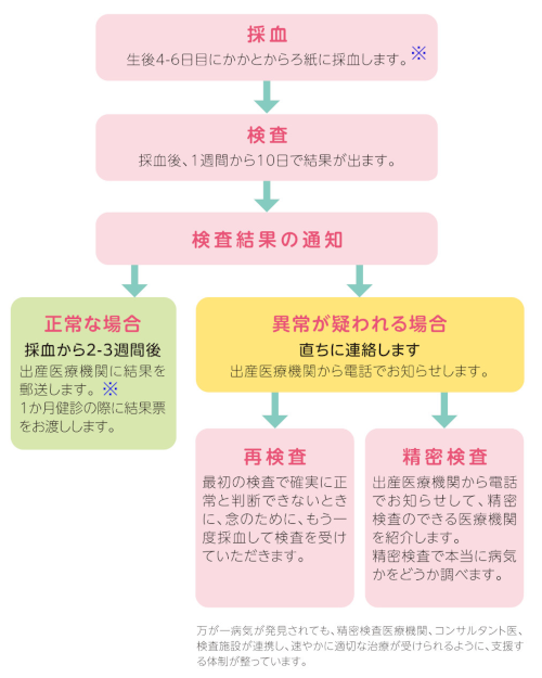 生後4-6日目にかかとからろ紙に採血します。
採血後、1週間から10日で結果が出ます。
検査結果により以下の方法でお知らせします。
正常な場合、採血から２-3週間後出産医療機関に結果を郵送します。
異常が疑われる場合は、直ちに連絡します。
再検査や精密検査が必要な場合、出産医療機関から電話でお知らせします。